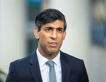 COP27: UK PM Rishi Sunak Urges World to Move Faster on Renewable Energy ...